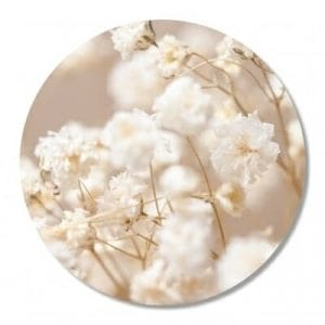 Muurcirkel – Witte bloemen